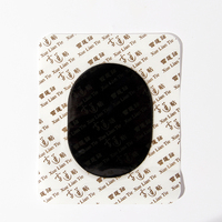Plâtre à base de plantes OEM patchs pour douleurs musculaires au genou arthrite patch pour douleur transdermique OEM