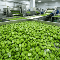 Fèves entières IQF certifiées de haute qualité, légumes entiers, prix compétitif, quantité en vrac, vente en gros