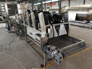 יצוא כדי גאנה עומאן ג 'ינג' ר כורכום מכונת כביסה/שום ניקוי עיבוד קו - Product Image 6