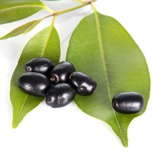 OEMプライベートラベルEugenia Jambolanaサプリメント<span class=keywords><strong>Jamun</strong></span>シードパウダー - Product Image 3