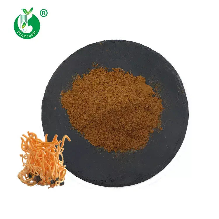 Fabrikant Bulk Natuurlijke Cordycepin Organische Cordyceps Militaris Extract Poeder