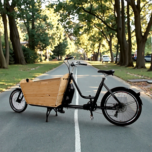 Remorque de vélo électrique à deux roues en alliage d'aluminium avec batterie au lithium pour bébé - Product Image 1