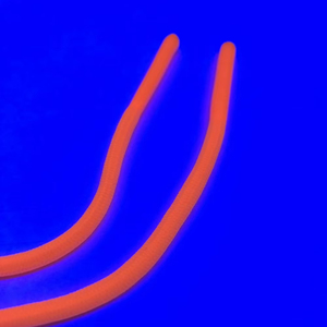 Top svendita cavo piatto piatto riciclato poliestere Custom disegnare corde per indumento Hoodei con cordoncino - Product Image 1