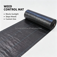 Livraison Rapide Tissu Anti-Herbe en Plastique de Qualité Agricole de 2,4 m de Large pour Sous-Couche de Gravier en Russie, Agriculture, Fruits et Sable