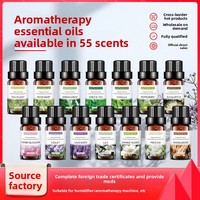 Huile d'aromathérapie pour la maison 10 ml, soluble dans l'eau, avec bouchon à tête large, pour humidificateur, huile essentielle parfumée pour la maison et la voiture