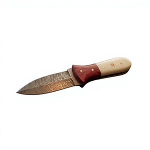 Cuchillo de Supervivencia y Caza de Acero de Damasco Forjado a Mano, Hoja Fija Mini Tipo Drop Point, Mango de Madera, Grado Industrial, para Revendedores OEM 58/60 - Product Image 2