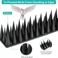 Piques anti-oiseaux, dissuasif pour pigeons et petits oiseaux, protection contre les ratons laveurs et les chats pour l'extérieur, pour éloigner les écureuils