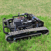 Livraison Gratuite Tondeuse à Gazon à Chenilles RC Homologuée CE EPA avec Moteur Essence Puissant pour la Coupe de l'Herbe