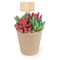 Étiquettes en bois en forme de T, étiquettes de plantes en bois imperméables pour jardin, décoration extérieure, marqueurs de fleurs, étiquettes de plantes en bois