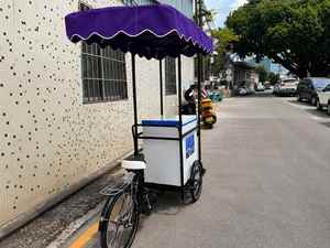 Carrito de <span class=keywords><strong>Comida</strong></span> Callejero Chammp 2026, Food Truck, Caravana Móvil de <span class=keywords><strong>Comida</strong></span> Rápida para Helados, en Venta en la UE, Reino Unido, <span class=keywords><strong>Irlanda</strong></span>, Francia e Italia - Product Image 5