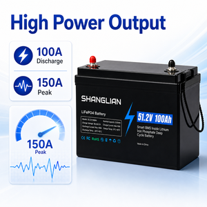 Paquete de Baterías LiFePO4 de 51.2V 100Ah con BMS Inteligente Integrado, Más de 6000 Ciclos, Grado de Impermeabilidad IP65, Batería de Litio de Grado A, Almacén en Polonia, UE - Product Image 2