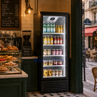 Congélateur vertical à vitrine en verre trempé, écoénergétique, à refroidissement par air, pour la conservation des aliments surgelés dans les cuisines de restaurants