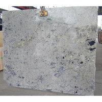 Pierre de Labradorite, carreaux blancs polis, en granit, 1 pièce