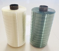 Machine d'extrusion de filament de sac Jumbo de fil plat en plastique