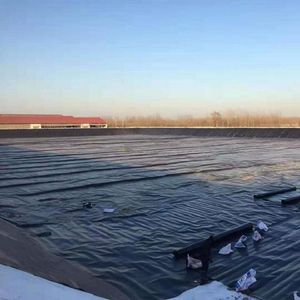 Nhà Máy Giá <span class=keywords><strong>geomembrane</strong></span> lót mịn kết cấu <span class=keywords><strong>geomembrane</strong></span> ASTM gm13 <span class=keywords><strong>geomembrane</strong></span> - Product Image 1