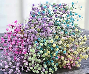 Kit de décoration de fleurs séchées colorées DIY - Product Image 3
