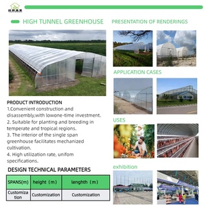 Serre agricole tropicale intelligente de 500 m2, tunnel de serre pour la culture de tomates, structures de serre pour jardin <span class=keywords><strong>potager</strong></span> - Product Image 2