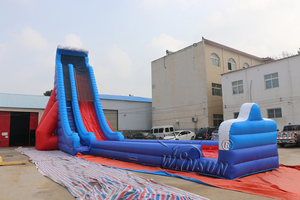 39ft Tall Giant <span class=keywords><strong>Inflatable</strong></span> Nước Trượt Để Bán, Thương Mại <span class=keywords><strong>Inflatable</strong></span> Nước Slides Với Hồ Bơi Cho Người Lớn - Product Image 2