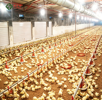 Nouvelle Conception Moderne pour l'Aménagement d'une Ferme Avicole : Poulailler Automatique pour Poulets de Chair sur Mesure