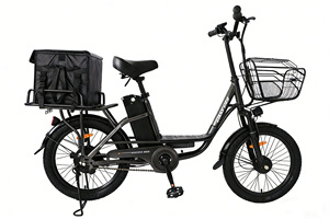จักรยานไฟฟ้าส่งของในเมือง 36V 250W 20 นิ้ว โครงเหล็ก Cagro สำหรับผู้ใหญ่ ราคาถูกแบบ EXW - Product Image 2