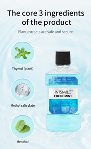 Großhandel Private Label Angepasste Mundspülung zur Entfernung von Mundgeruch Tötet 99% der Bakterien Für Zuhause/Reisen Verwendung Stärkt das Zahnschmelz - Product Image 5