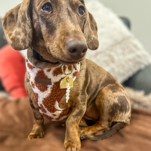 ชุดสายจูงและสายจูงสุนัขขนแกะเท็ดดี้แบบไม่ต้องดึงปรับได้ - Product Image 4