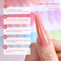 Gel Constructeur Liquide BIAB Auto-Nivelant à Faible Chaleur, Gel Dur pour Ongles, Gel Renforçant Sans HEMA, Marque Privée