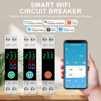 Disjoncteur intelligent Wi-Fi DIY GO WIFI 1P+N AC 110V 230V avec affichage tension/courant/énergie, protection contre les surcharges et relais de mémoire