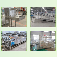 Ligne de production de chips de banane de 100 kg/h, machine à fabriquer des chips, prix de la ligne de production de chips de banane
