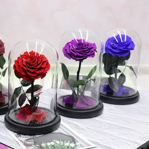 Xingsheng 2021 Mode De Schoonheid En Het Beest Verse Bloemen Rode Eeuwige Rozen Met Licht In Glas Dome
