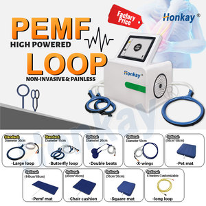 Máquina de Terapia PEMF de Escritorio, Bucle PEMF para Lesiones Deportivas, Alivio del Dolor, Cuidado de la Salud Animal, Fisioterapia, Clínica en Casa - Product Image 2