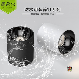 ไฟดาวน์ไลท์แบบติดพื้นผิว Cob 30W 40W 50W 60W 80W 100W แอลอีดี อะลูมิเนียมหล่อขึ้นรูป กันน้ำ IP65 ไฟสปอตไลท์ทรงกลม - Product Image 2
