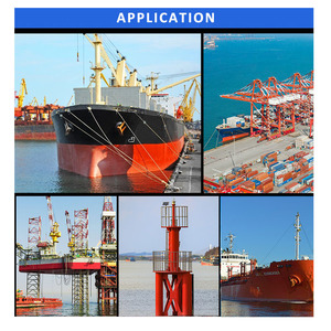 Peintures et revêtements de navires professionnels, <span class=keywords><strong>peinture</strong></span> <span class=keywords><strong>Marine</strong></span> antisalissure en cuivre avec résine <span class=keywords><strong>acrylique</strong></span>, oxyde de cuivre - Product Image 3