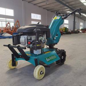 Fattoria tenuto in <span class=keywords><strong>mano</strong></span> potere timone piccolo weeder taglio <span class=keywords><strong>erba</strong></span> prato flail tosaerba cropper <span class=keywords><strong>trincia</strong></span> - Product Image 5