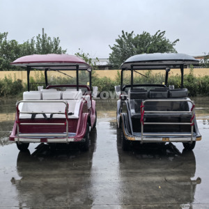 Plusieurs styles, design classique européen, prix de gros, voiture électrique vintage, voitures classiques rétro, design créatif - Product Image 5