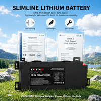 Batteries au lithium ultra-minces CYCLENPO OEM/ODM 12V 100Ah 150Ah LiFePO4 Slimline avec BMS intégré pour 4x4 et caravanes tout-terrain