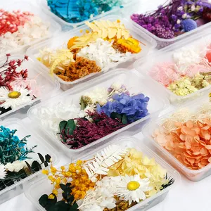 GH-093 wholesale multicolor natural real small mini mixed dry flower mixed bulk dried flowers material package for decoration