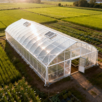 Serre agricole à tunnel haut, structure en acier galvanisé, film plastique écologique, serre pour la culture de tomates/laitues/piments