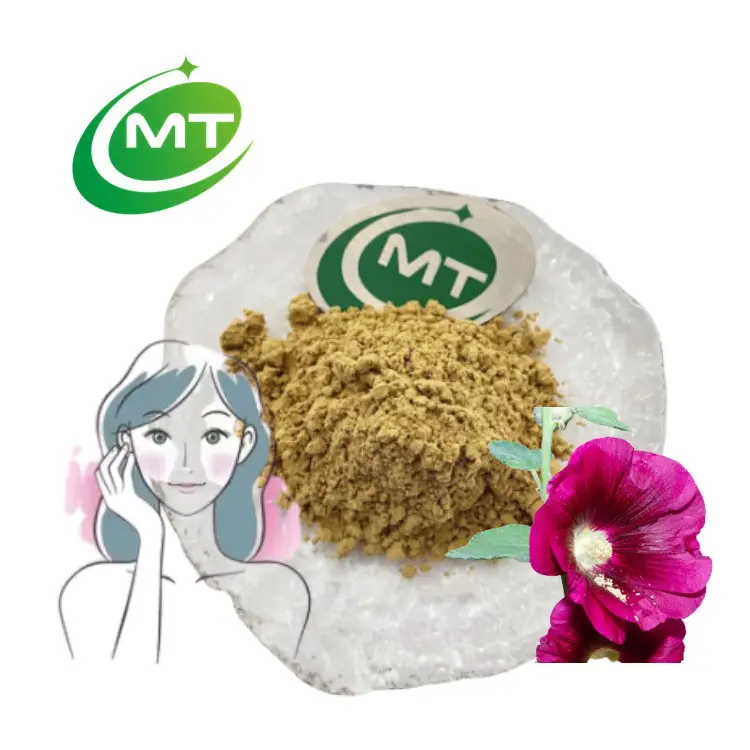 Campione gratuito estratto di radice di Marshmallow biologico puro al 100% in polvere 10:1 estratto di Althaea Officinalis estratto di Hollyhock 5% flavonoidi