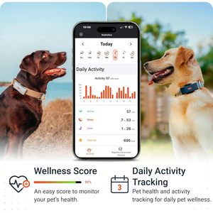 Rastreador GPS para Perros PAJ 4G con Rastreo en Tiempo Real, Cerca Virtual y Monitoreo de Actividad y Salud para Mascotas - Product Image 4