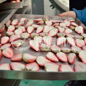 Équipement professionnel de lyophilisation à grande échelle pour l'éprouvement sous vide des pois, haricots verts et maïs, destiné à la transformation des légumes - Product Image 3