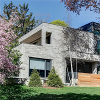 Maison de luxe villa granit naturel marbre pierre panneaux de façade pour murs extérieurs