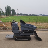 Mini-Raupentransporter 800kg B&S Benzinmotor Hydraulischer Antrieb für Obstgarten Gewächshaus Landwirtschaft