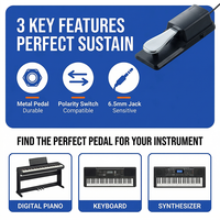 MIDI Controller Pedal for Electric Piano Digital Keyboard Synthesizer Heavy Duty Metal Sustain Pedal Model YYB-02 Made in China