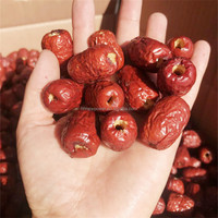 Extrait de graines de dattes malaisiennes Destoner Palm Dates Machine à dénoyauter pour Longan Prune Arbutus Cherry Olive Harthorn Crataegus