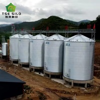 Silo en acier à fond plat isolé pour convoyeur à bande et élévateur à godets pour usine de transformation de la farine