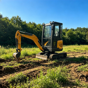Maquinaria Agrícola, Mini Excavadora de 1.5 Toneladas, 1.6 Toneladas, Mini Excavadora de Cadenas en Venta - Product Image 4