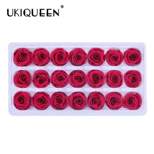 Yunnan-<span class=keywords><strong>mini</strong></span> flores naturales de larga vida para siempre, <span class=keywords><strong>rosas</strong></span> <span class=keywords><strong>preservadas</strong></span>, fabricante original, venta al por mayor, 2-3cm - Product Image 4
