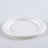 Assiette jetable écologique Matériau de bagasse Assiette à déjeuner Respectueux de l'environnement pour le marché des Émirats arabes unis
