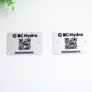 Giá Rẻ Chải Nhôm Tùy Chỉnh Logo In Ấn Kim Loại Tên Nơi Khắc Khắc Tên Kim Loại Tấm - Product Image 4